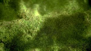 FREE PBR moss material!