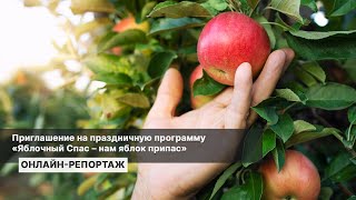 Приглашение на праздничную программу «Яблочный Спас – нам яблок припас». Репортаж