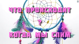 Что происходит, когда мы спим?