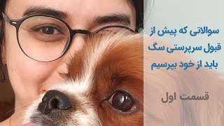 سوالاتی که پیش از قبول سرپرستی سگ باید از خود بپرسیم - قسمت اول