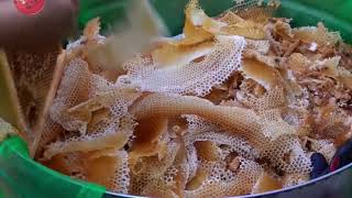 طريقه اخراج العسل في كوكب اليابان The way to bring out honey on the planet Japan