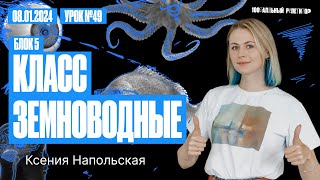 Класс Земноводные | Биофак 2024 | Урок 49