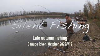 Late autumn fishing, Danube River_October 2022/V12