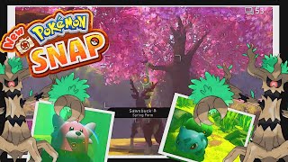 Co-op Pokémon snap [ The Elsewhere Forest autumn + spring ]