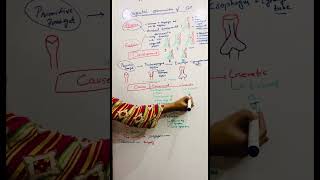 Primary and Secondary Causes of congenital abnormalities of GIT @medicostuff