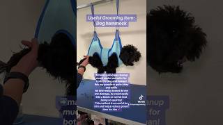 Dog safety tip! #toypoodle #groomer #doggroomingtips #grooming