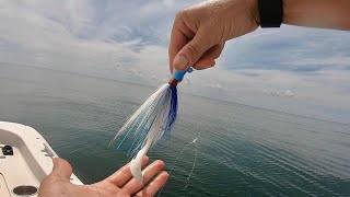 BERKLEY GULP CATCHES EVERYTHING - Multi Species Ocean Fishing for Whatever Bites