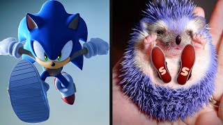 Sonic The Hedgehog All Characters In Real Life   Comparison