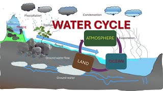 Water cycle | Hydrological cycle | Movement of water between the atmosphere, land, and oceans|