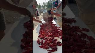 Crawfish time. Time to eat.