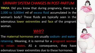 Class 7  SYSTEMIC CHANGES IN POST PARTUM