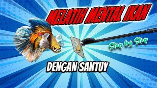 CARA MEMBUAT STICK MENTAL IKAN CUPANG - STIK MENTAL KACA- flare stick