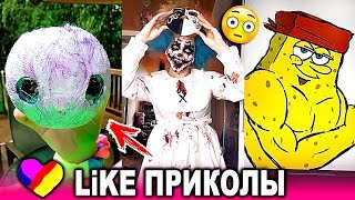 ЛУЧШИЕ ВИДЕО ЛАЙК 2019 Подборка | ПРИКОЛЫ Like Самые Няшные и Прикольные Видео