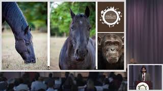 05 - Transforming Animals’ Status through Civil Litigation