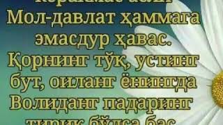 Шайтонинг беш угли...Фозил кори