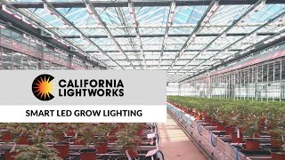 California LightWorks: Smart LED Grow Lighting