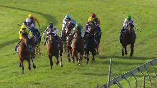 2024 Murwillumbah Cup