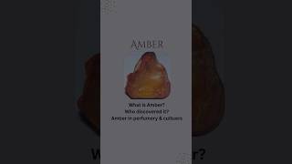 Amber: The Warm and Sensual Fragrance Note 🌟✨ #Amber #Fragrance #Perfume #WarmAroma