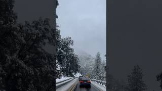 Wow 🤩 snowfall ❄️❄️❄️ #travel #nature #california #laketahoe #snow #winter #traveldestinations