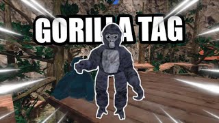 GHOST HUNTIGN WITH VIEWERS (Gorilla Tag VR)