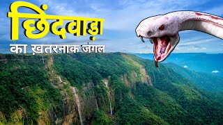 😲 छिंदवाड़ा का खतरनाक जंगल | Chhindwara forest | forest in Chhindwara | Chhindwara District |