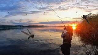 ЦЕ ЯКАСЬ АНОМАЛІЯ НА ДНІПРІ! АЛЕ СУДАК КЛЮЄ ЯК ТРЕБА.. Ловля судака на джиг! Рибалка на спінінг 2023