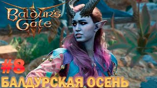 Прохождение Baldurs Gate 3 - Доблесная Шедоухард