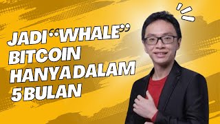 Para “Whale” atau Bandar Besar Bitcoin yang Baru