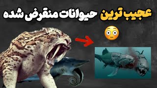 عجیب ترین حیوانات: عجیب ترین حیوانات خطرناکی که سال ها پیش منقرض شدن 😳🤯