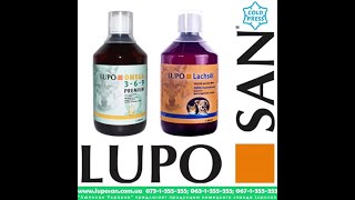 Пищевые добавки для кожи и шерсти собак LUPO Omega 3-6-9 и LUPO Lachsol