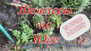 294ч🏡Обзор ремонта в доме/Стройка/Огород/Цветы