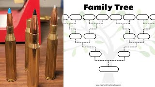 Ranking the 30-06 Family Tree!