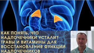 КАК ПОНЯТЬ, ЧТО НАДПОЧЕЧНИКИ УСТАЛИ? ТРАВЫ И ВИТАМИНЫ ДЛЯ ВОССТАНОВЛЕНИЯ ФУНКЦИИ НАДПОЧЕЧНИКОВ