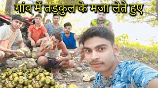 गांव में तड़कुल के मजा लेते हुए | Enjoy Palm fruit in village | Toddy Palmyra Fruit | Tarkul Fruit