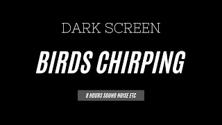 Birds Chirping Sound White Noise 8 Hours Dark Screen: Meditation, Study, Relaxing, Sleep, Focus