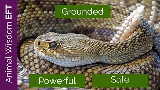 Animal Wisdom Rattlesnake EFT - Grounded, Powerful, Safe