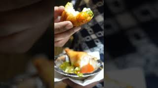 Dahi Ke Sholay Street Food Delhi | INA Market Street Food | Veg Street Food Delhi India