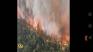 Incendio en Australia