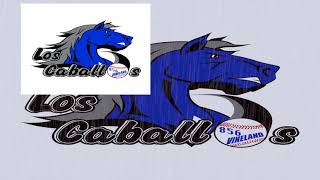 Ronar & Doble M (Los Caballos Dembow Softball Team)