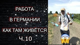 VLOG РАБОТА В ГЕРМАНИИ ( ЧЕРНИКА ) РАБОТА ЗА ГРАНИЦЕЙ ЧАСТЬ 10 ТУСА