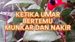 MALAIKAT MUNKAR DAN NAKIR DI BENTAK OLEH UMAR BIN KHATAB #kisahnabi #umarbinkhatab #mu karnakir