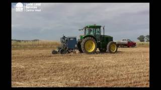 Managing flooded paddocks over summer