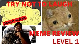 MEME REVIEW LEVEL TNTL