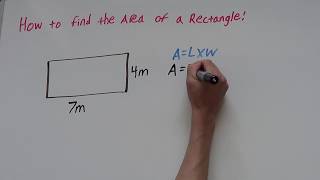 How to find the area of a rectangle or square!