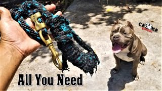 How We Build Muscle At Caona Bullys - XL American Bully Pitbull Extreme Workout