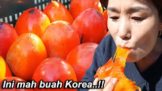 Hari ini aku tidak iri sama orang Indonesia yg punya pohon mangga!😁