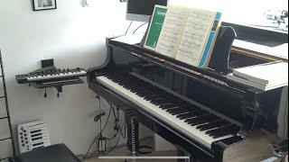 Live Piano Training Roel Kronenberg