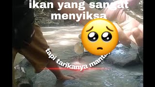 ikan yang paling bikin emosi pemancing ikan wader, tapi tarikanya joss