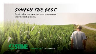 Stine® Brand Corn