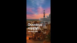 Goodbye Poppy with Photo Assist | Samsung